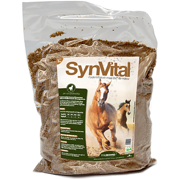 SynVital1