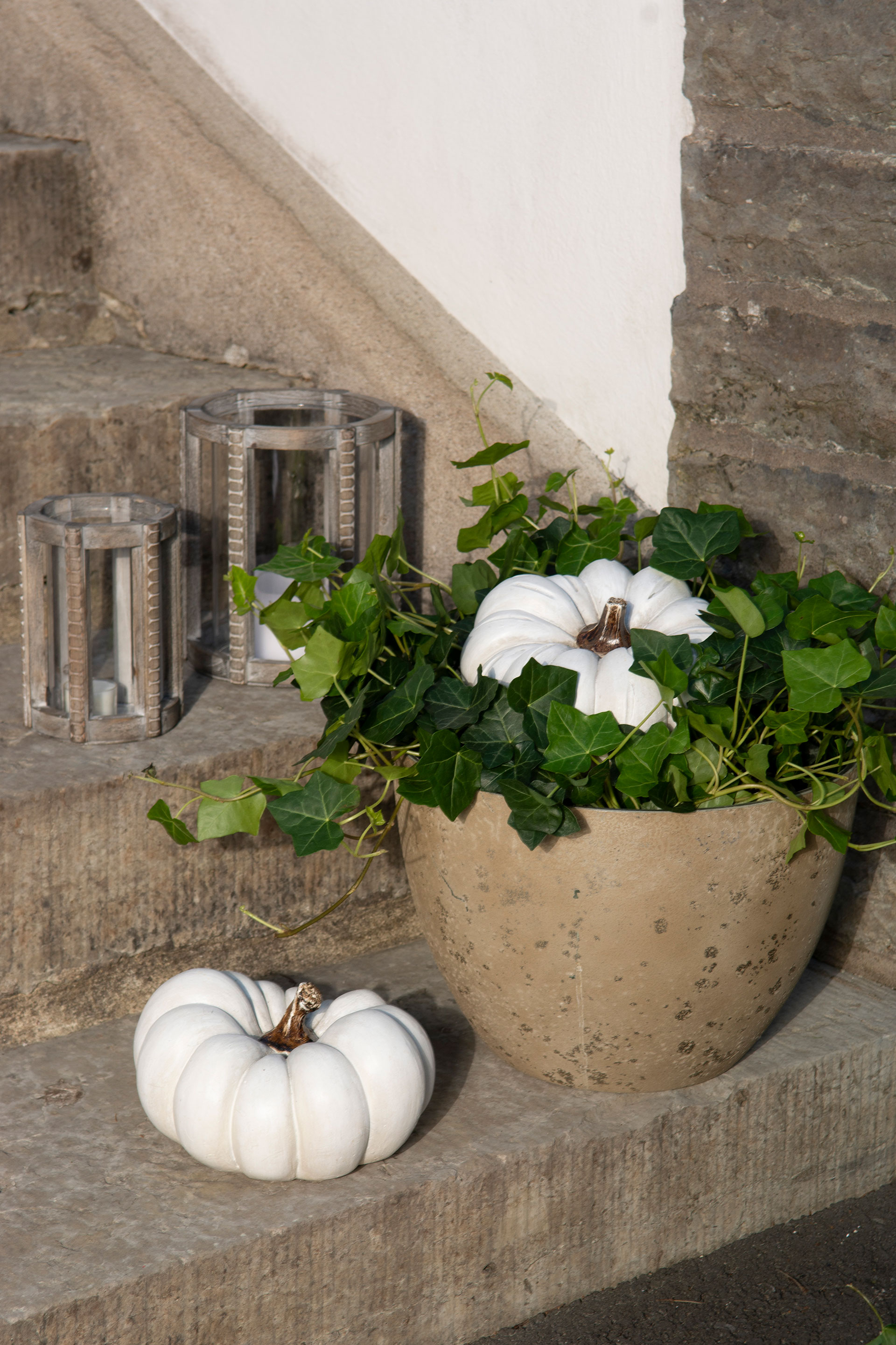 Pumpa Vit - 20 cm  - 2