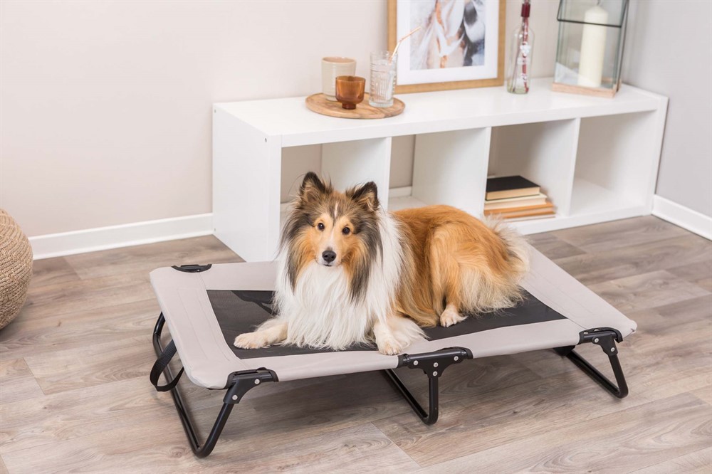 Trixie dog outlet bed