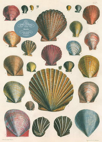 Pussel John Derian Shells