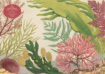 Pussel John Derian Sea life