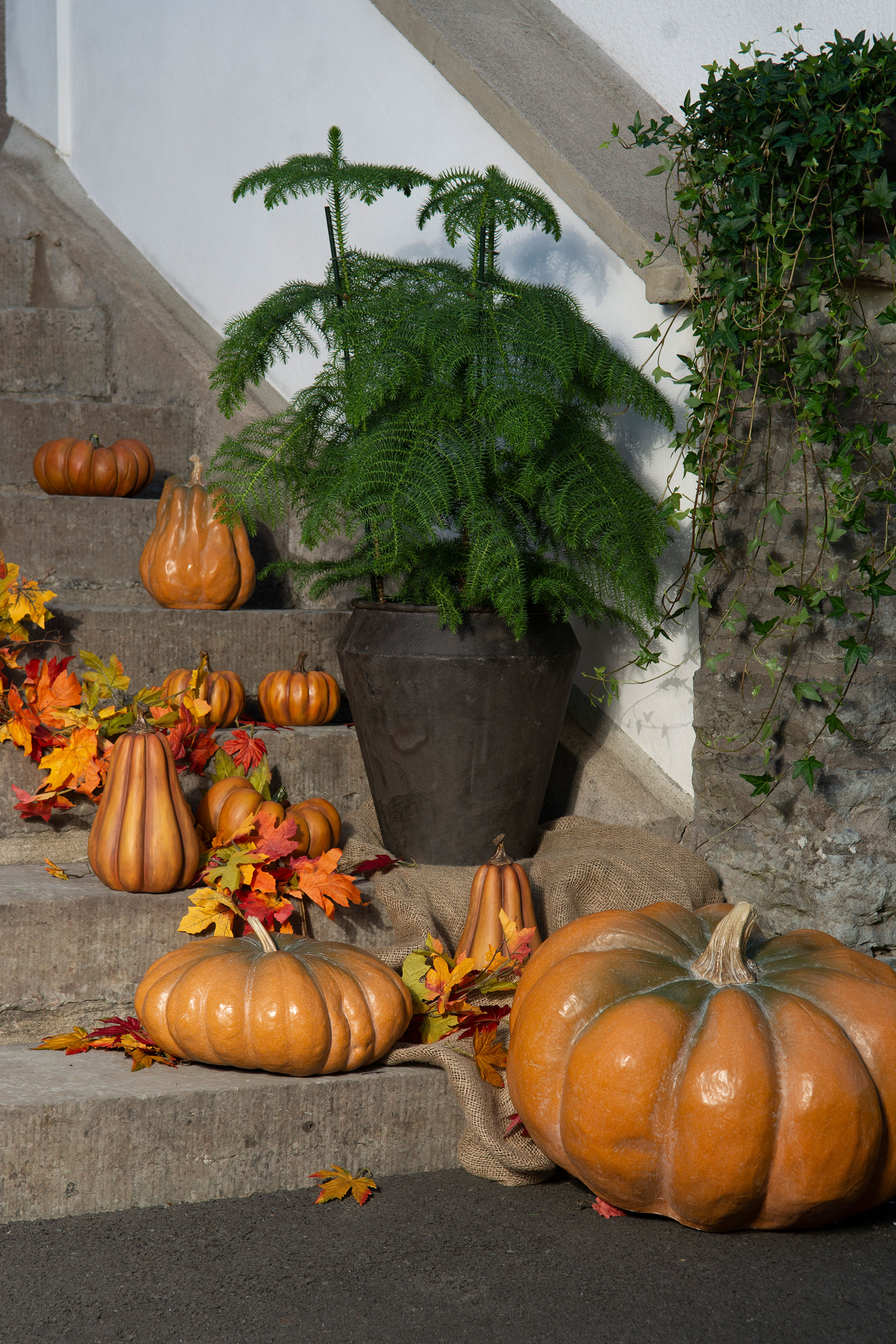 Pumpa Orange - 20 cm - 2