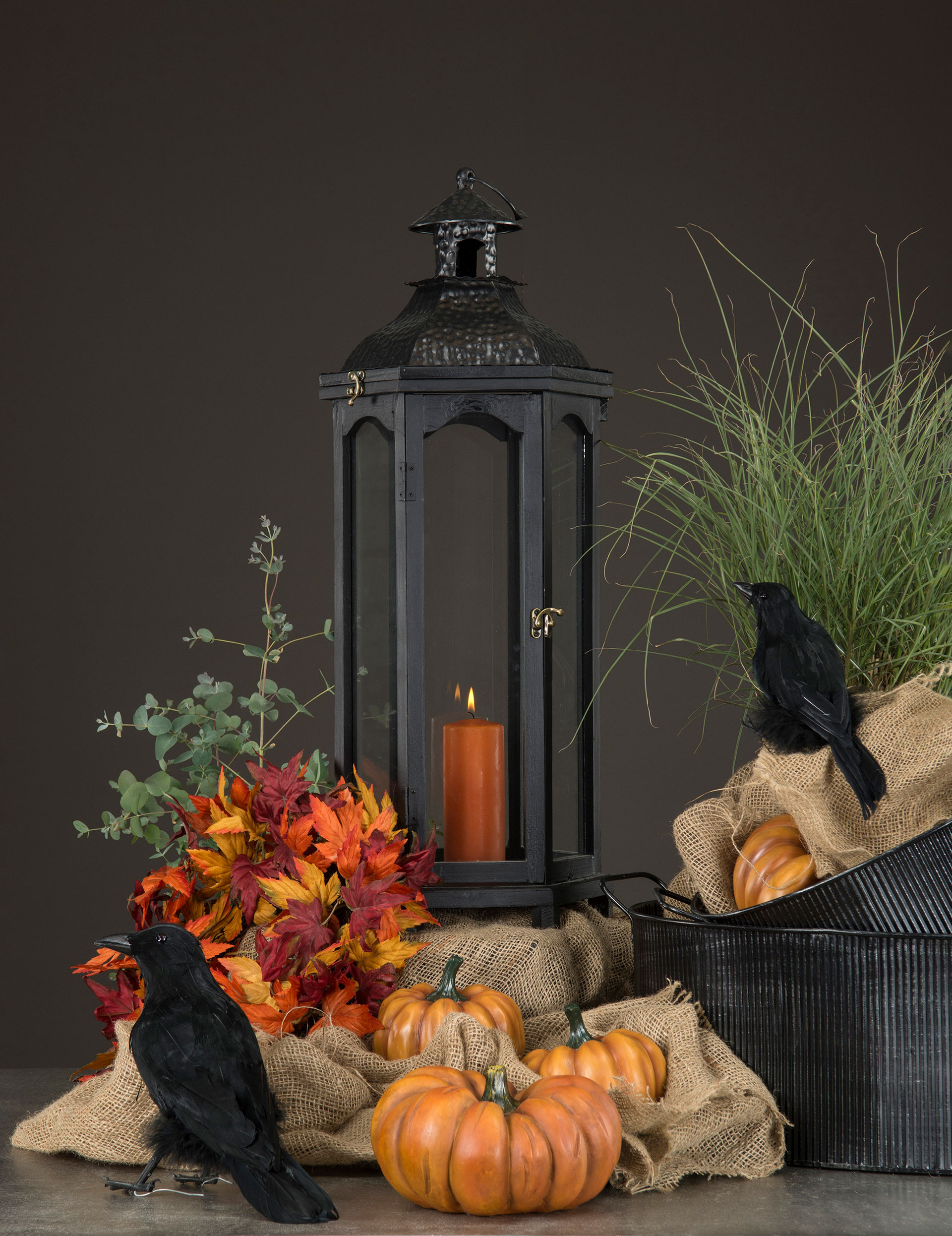 Pumpa Orange - 20 cm - 6