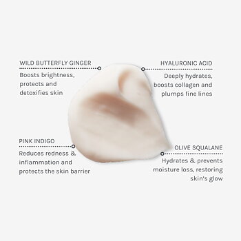 EVOLVE Hydrate & Protect Facial Cream 30ml