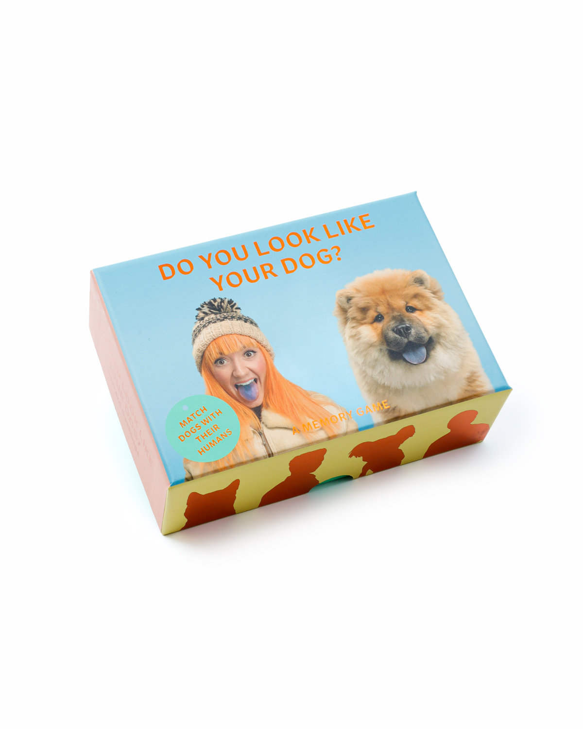 Do You Look Like Your Dog?