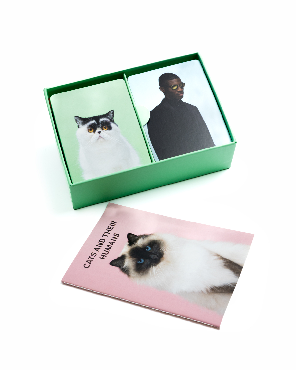 Do You Look Like Your Cat?