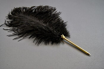 Ostrich feather pen black