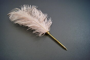 Ostrich feather pen blush