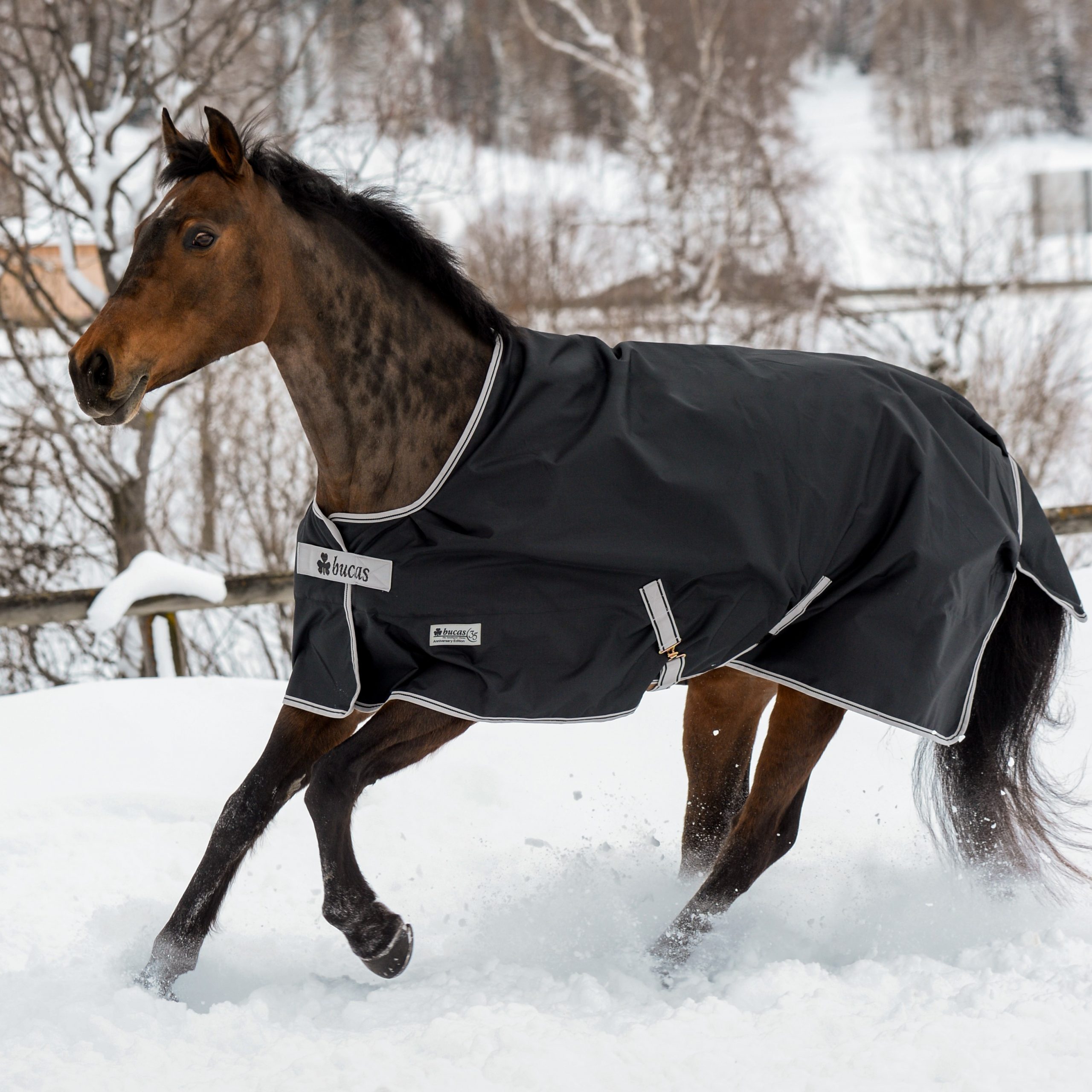 Bucas Anniversary Turnout Outdoor Rug 150 g - Black