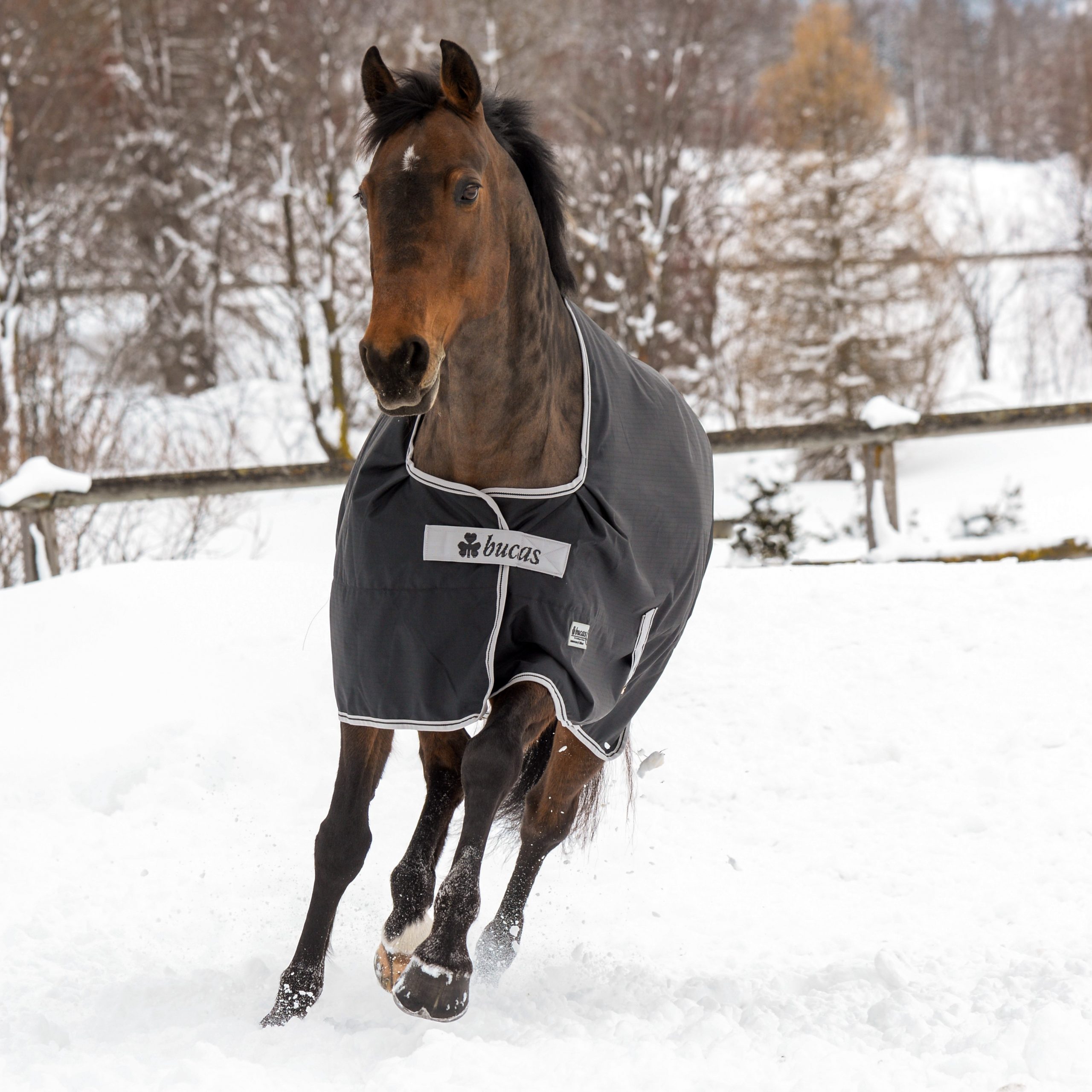 Bucas Anniversary Turnout Outdoor Rug 150 g - Black