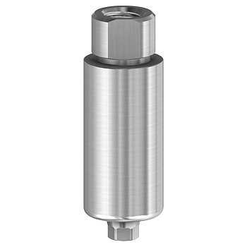 Pre-milled blank WP 10 mm för NobelActive®