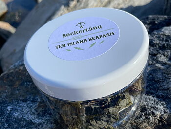 Ten Island Seafarm Sockertång