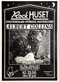 ALBERT COLLINS - Stockholm 16 Juli Konsertaffisch (1980)
