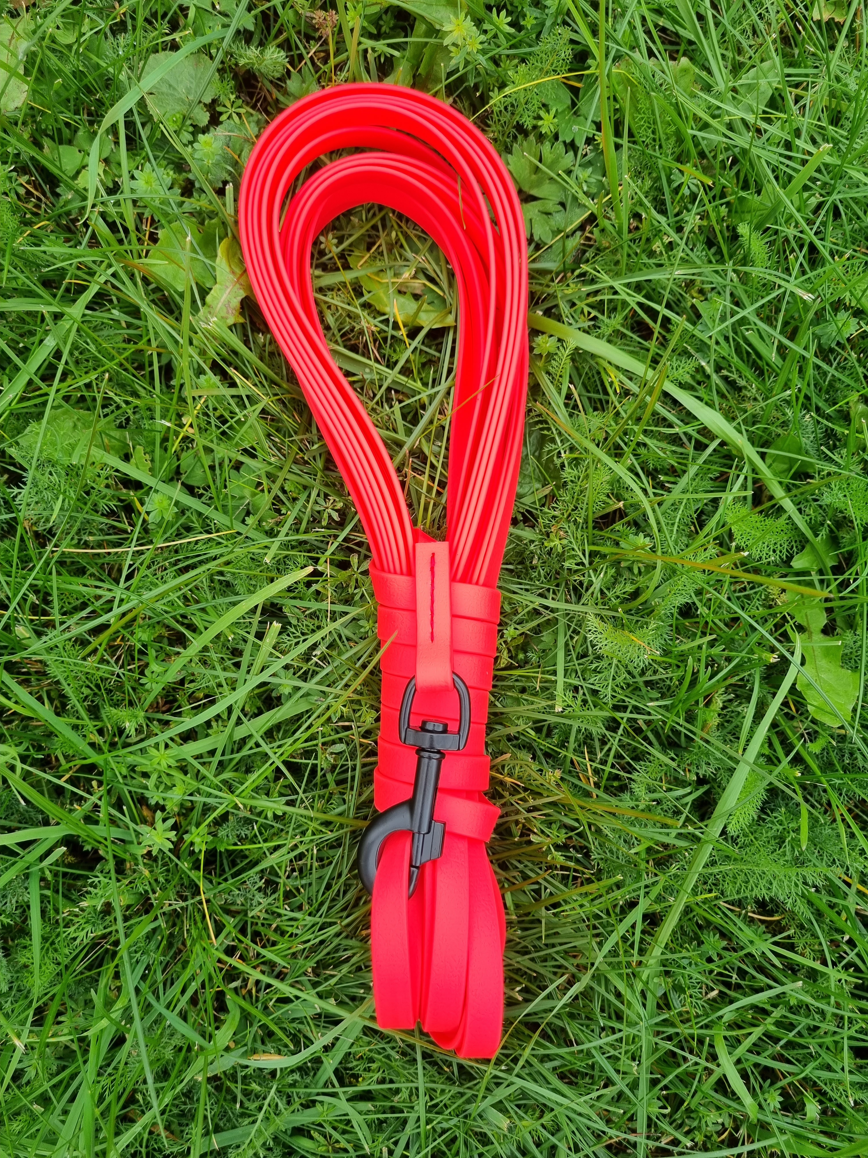 Biothane-lina, 10 m, pistolknäppe - 6