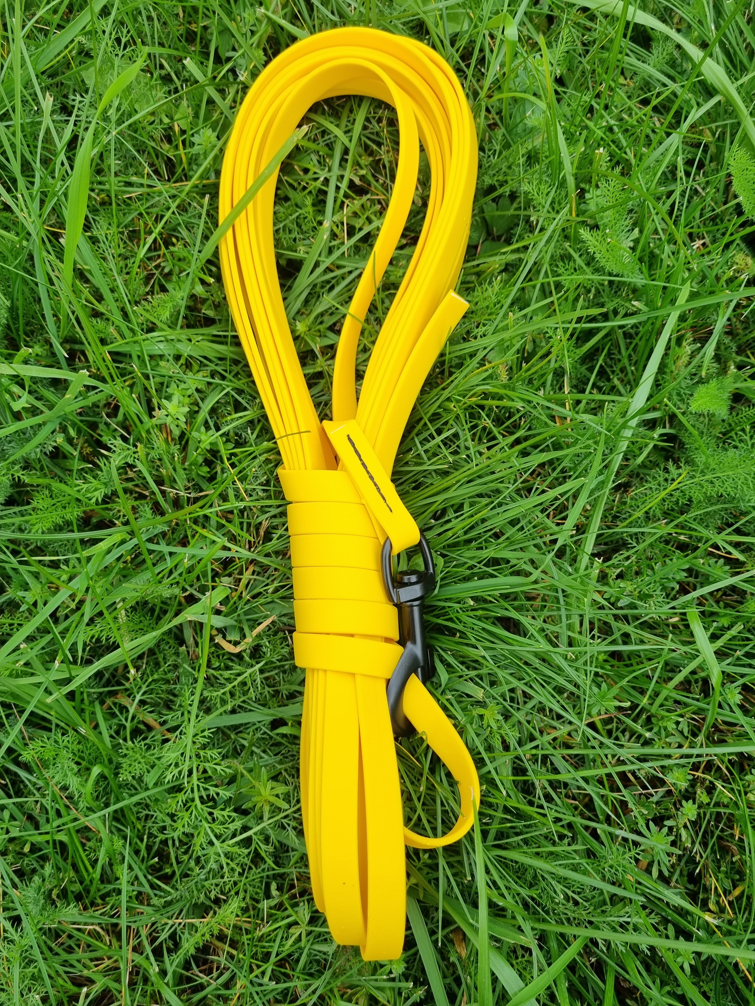 Biothane-lina, 10 m, pistolknäppe - 9