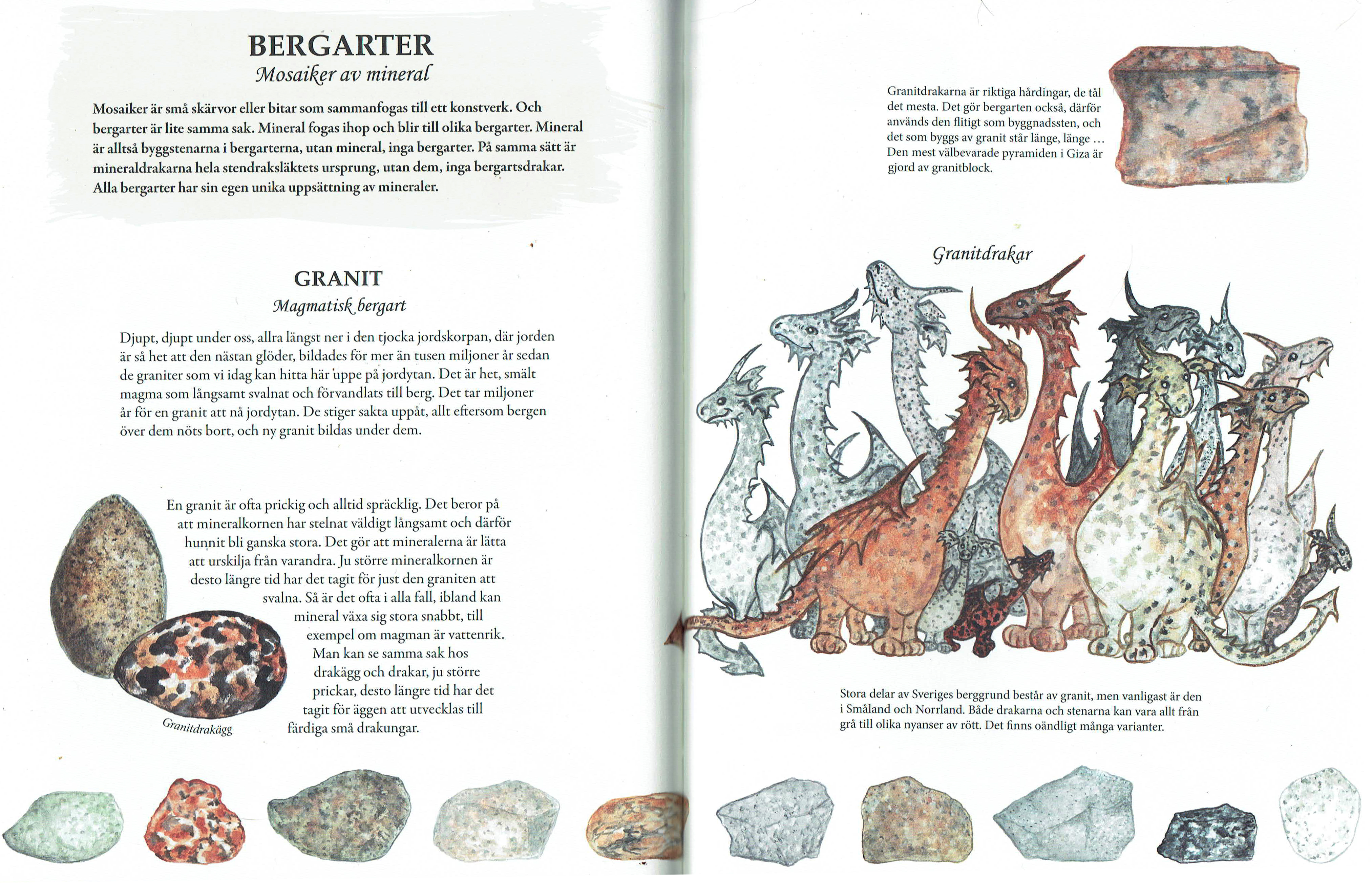  STENDRAKAR En faktabok om stenar, drakar och ett och annat mineral - 2