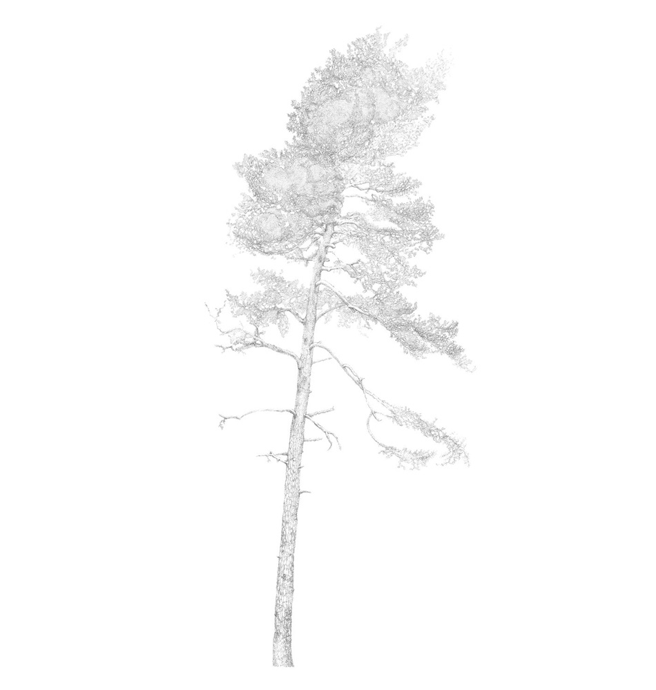 Marie Holmgren: Förefintlighet - 2