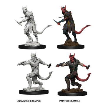 D&D Nolzur's Marvelous Miniatures - Tiefling Male Rogue