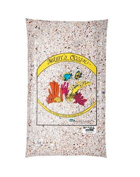 Natures Ocean Hawaiian Puka Shells 6,8 kg