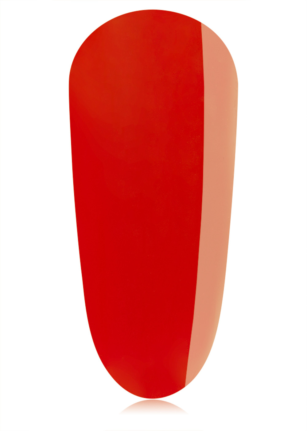 Iconic 20 ml 