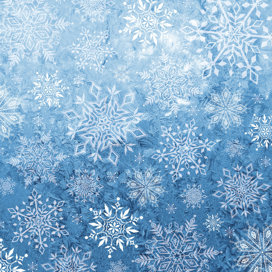 Winter's Sparkle 12"x12" block, Crafter's Companion - 8