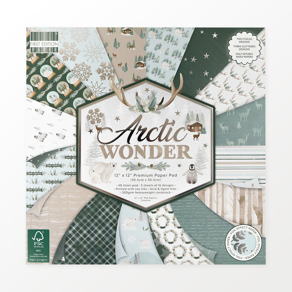 Arctic Wonder 12"x12" block, First Edition