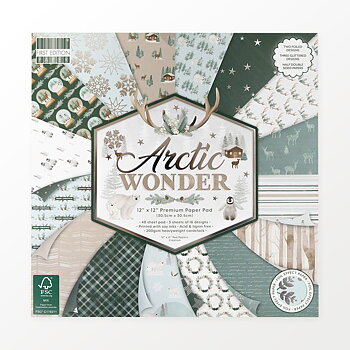 Arctic Wonder 12"x12" block, First Edition