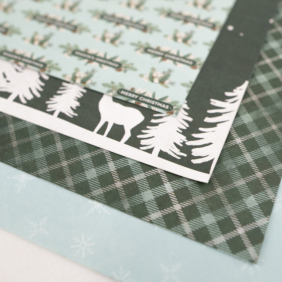 Arctic Wonder 8"x8" block, First Edition - 3