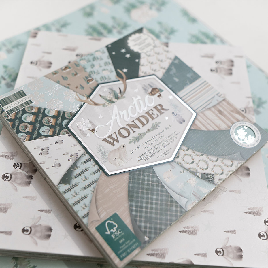Arctic Wonder 6"x6" block, First Edition