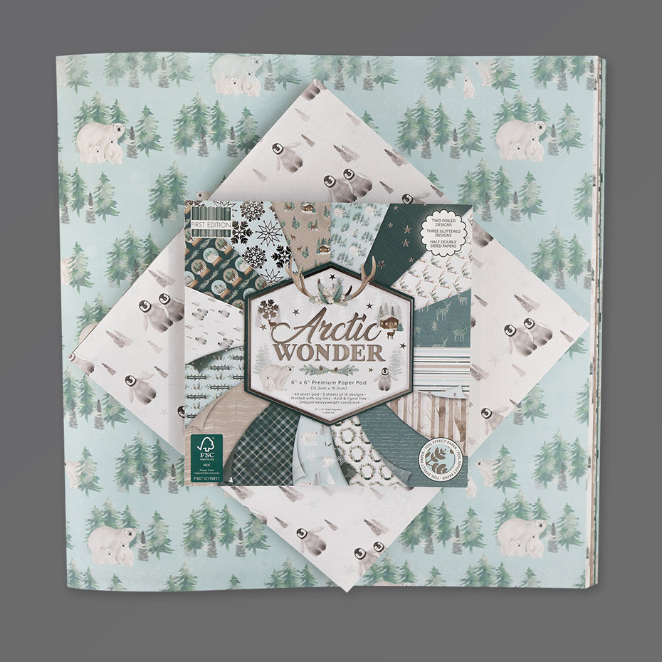 Arctic Wonder 6"x6" block, First Edition - 8