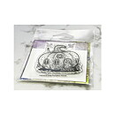 Fairy Hugs Clear Stamps - Pumpkin House