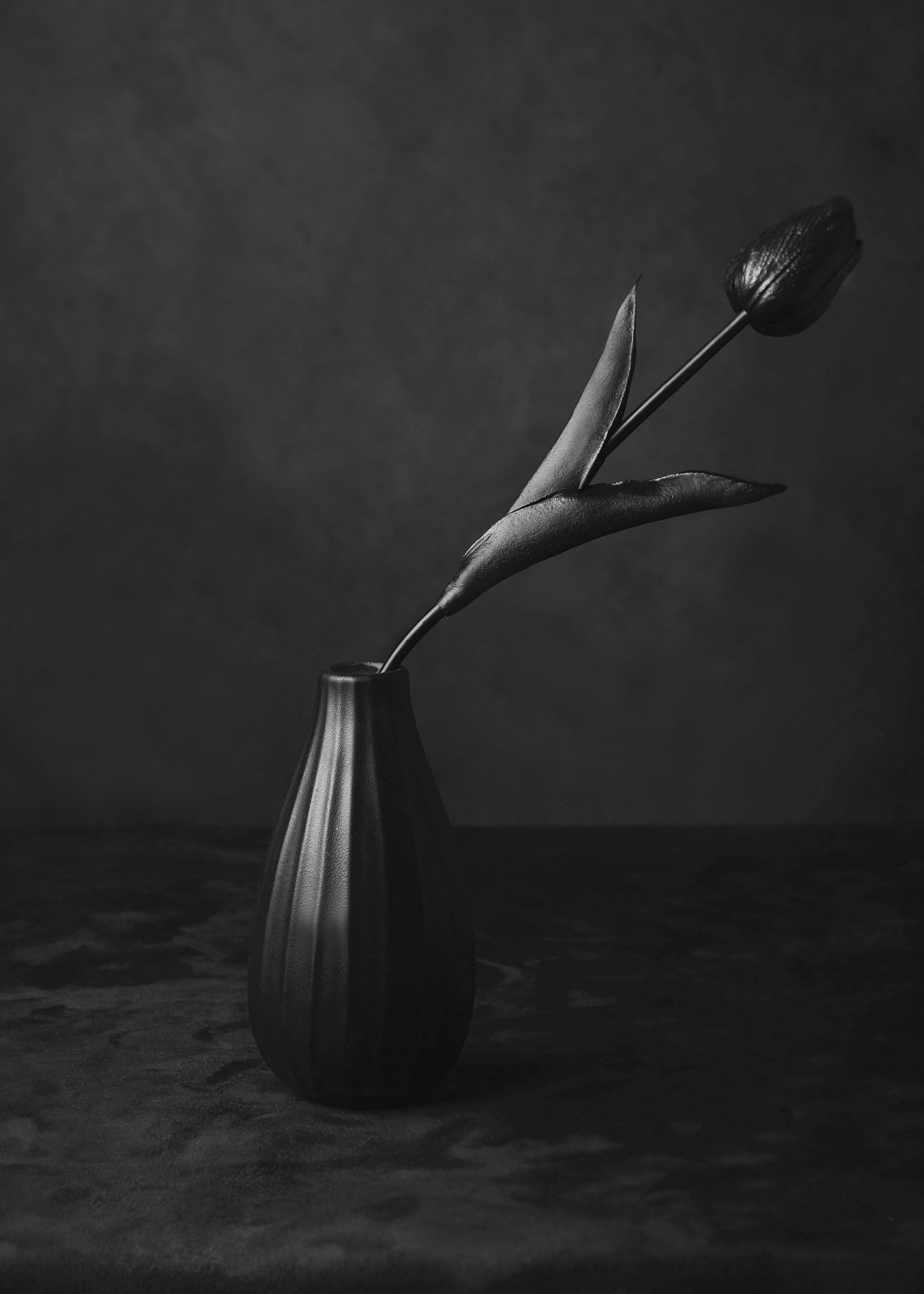 Canvastavla Black Tulip Canvasbutik.se