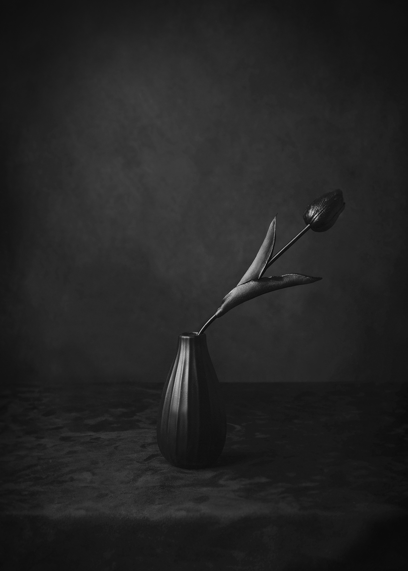 Photo Art Black Tulip