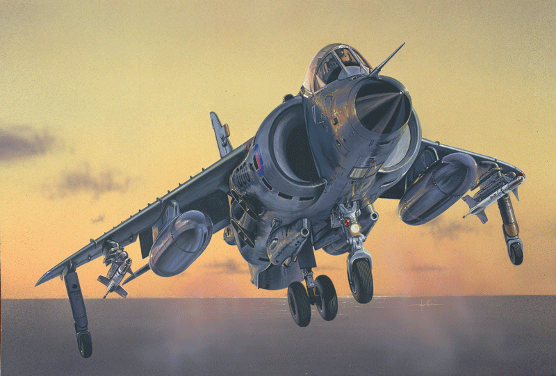 1/72 FRS.1 Sea Harrier