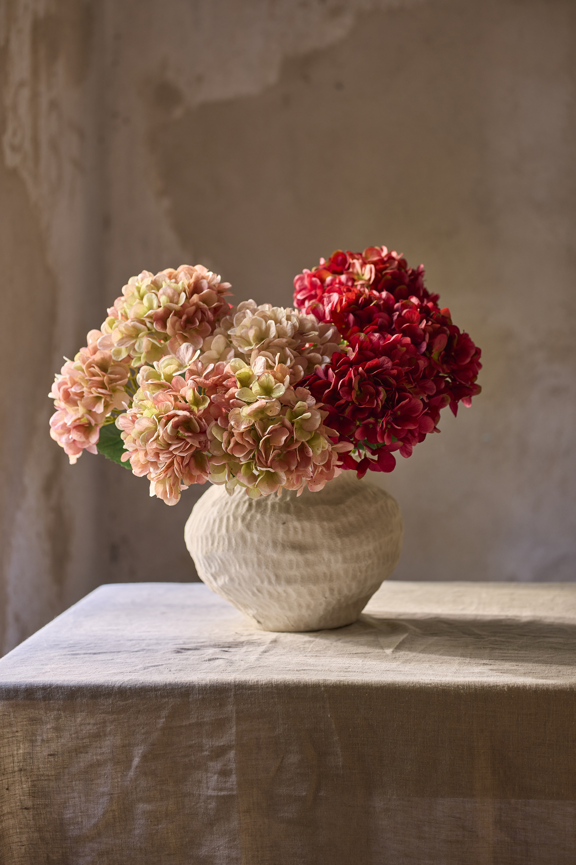 Hortensia - 60 cm - Melerad - 4