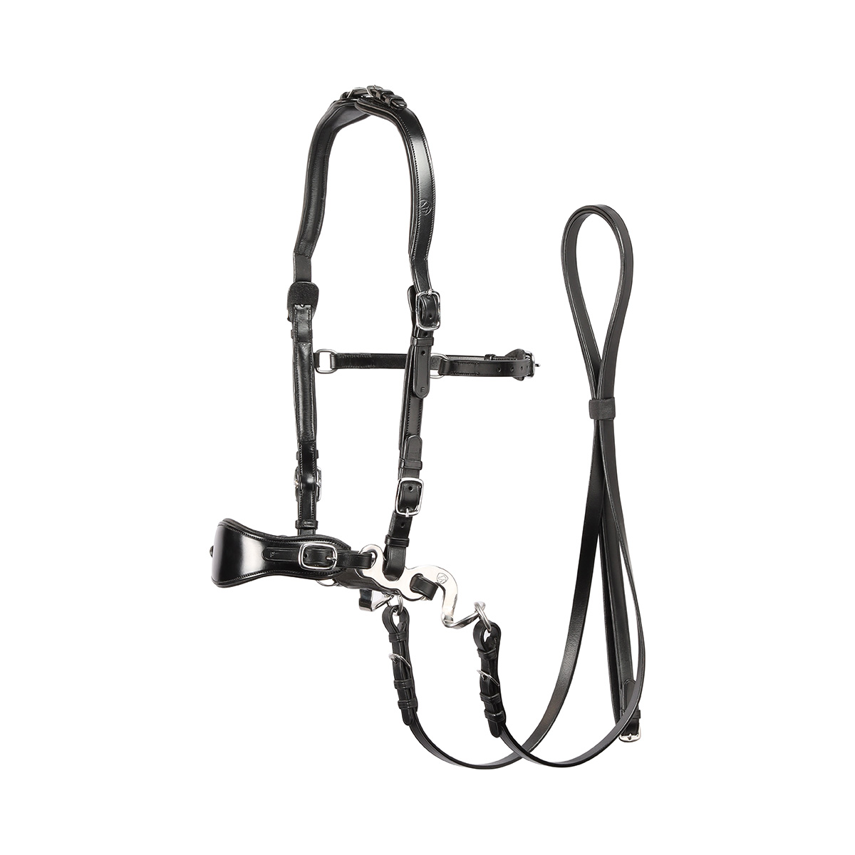 311. Noseband & curb Edix Classic - 2