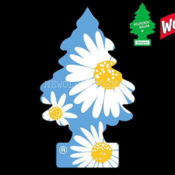 DAISY FLOWER Doftgran Wunder-Baum