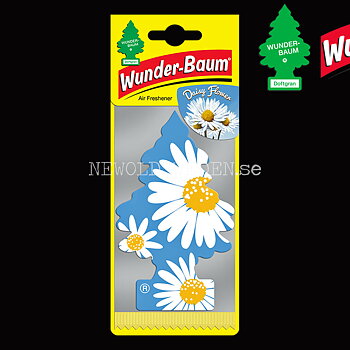 DAISY FLOWER Doftgran Wunder-Baum