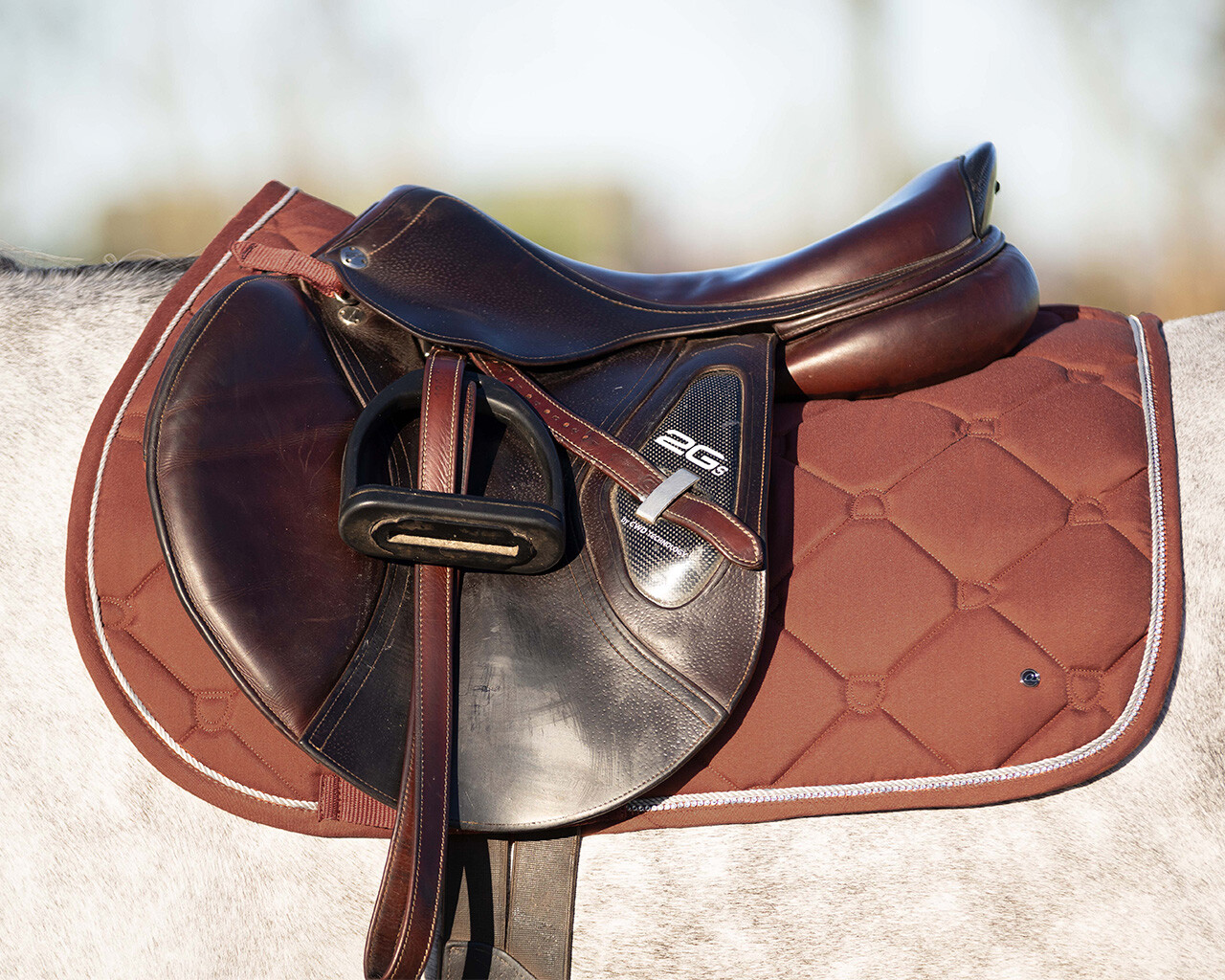 Schabrak Phoenix allround terra - 3