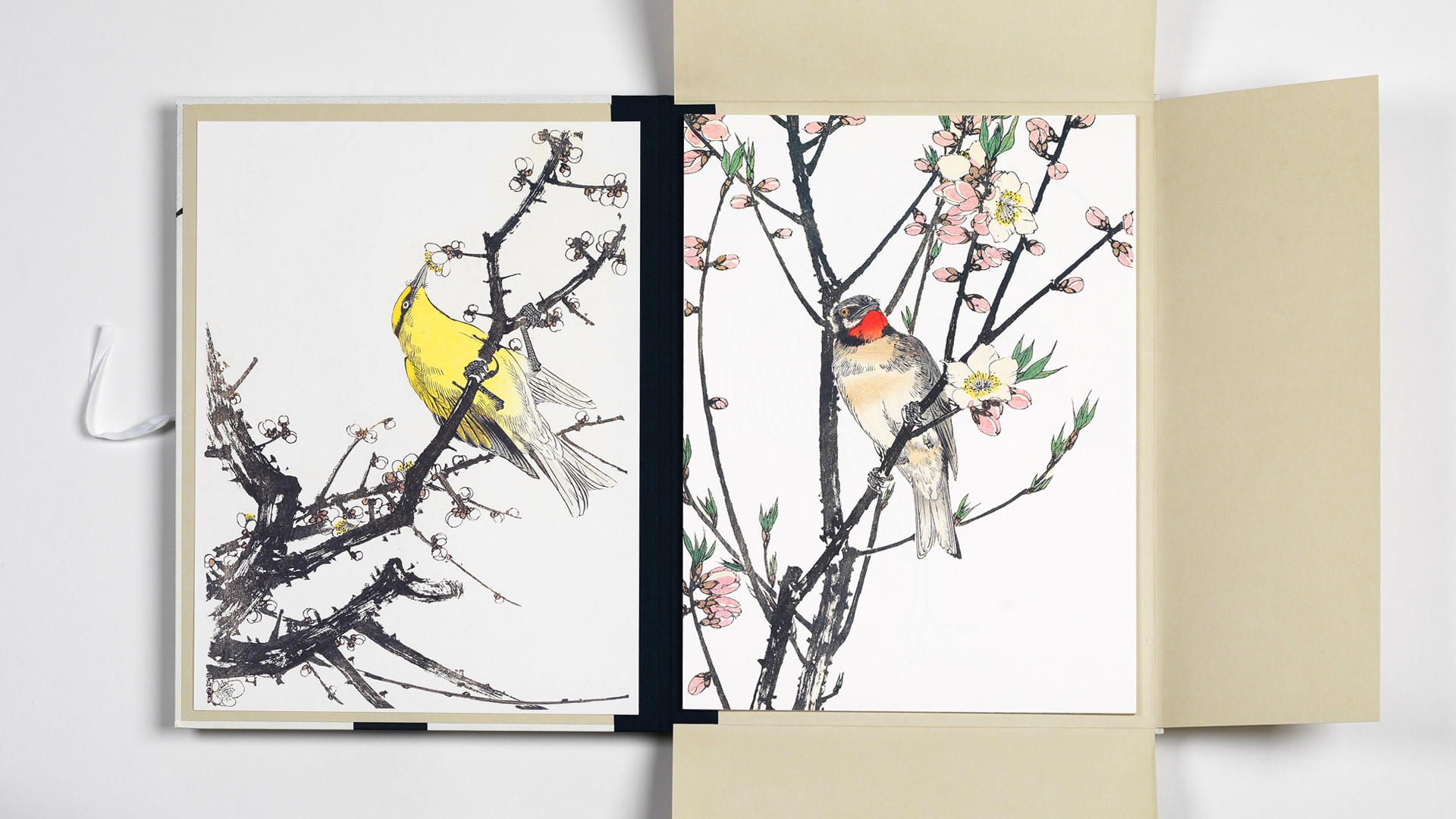 Japanese Bird Prints, Art Portfolio - 4
