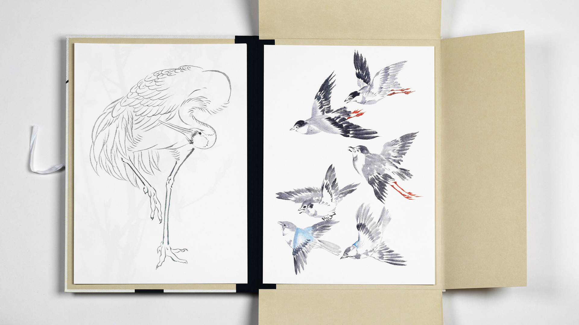 Japanese Bird Prints, Art Portfolio - 3