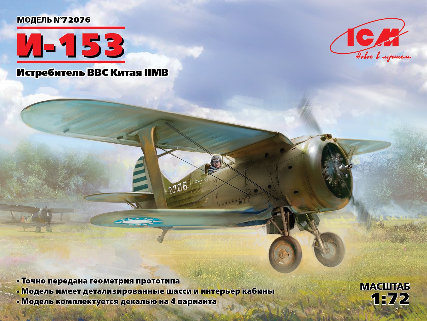 I-153, WWII China Guomindang AF Fighter