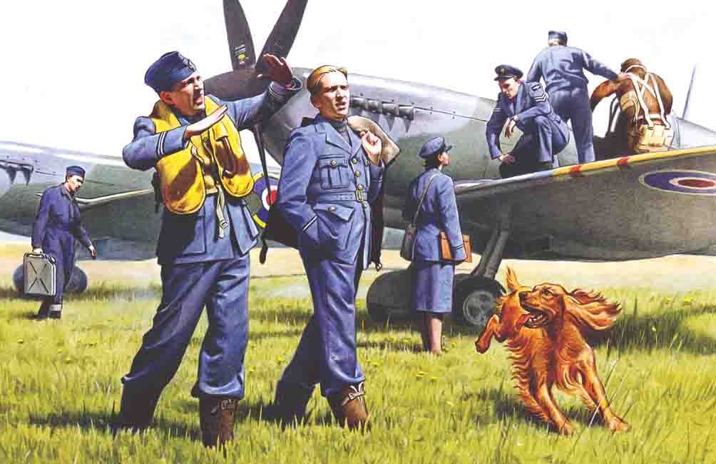 1/48 RAF Pilots and Ground Personnel (1939-1945)  (7 figures - 3 pilots, 3 mechanics, 1 WREN member, and dog figure)