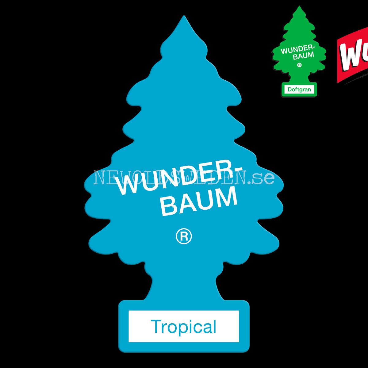 TROPICAL Doftgran Wunder-Baum - 2