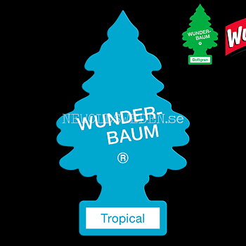 TROPICAL Doftgran Wunder-Baum