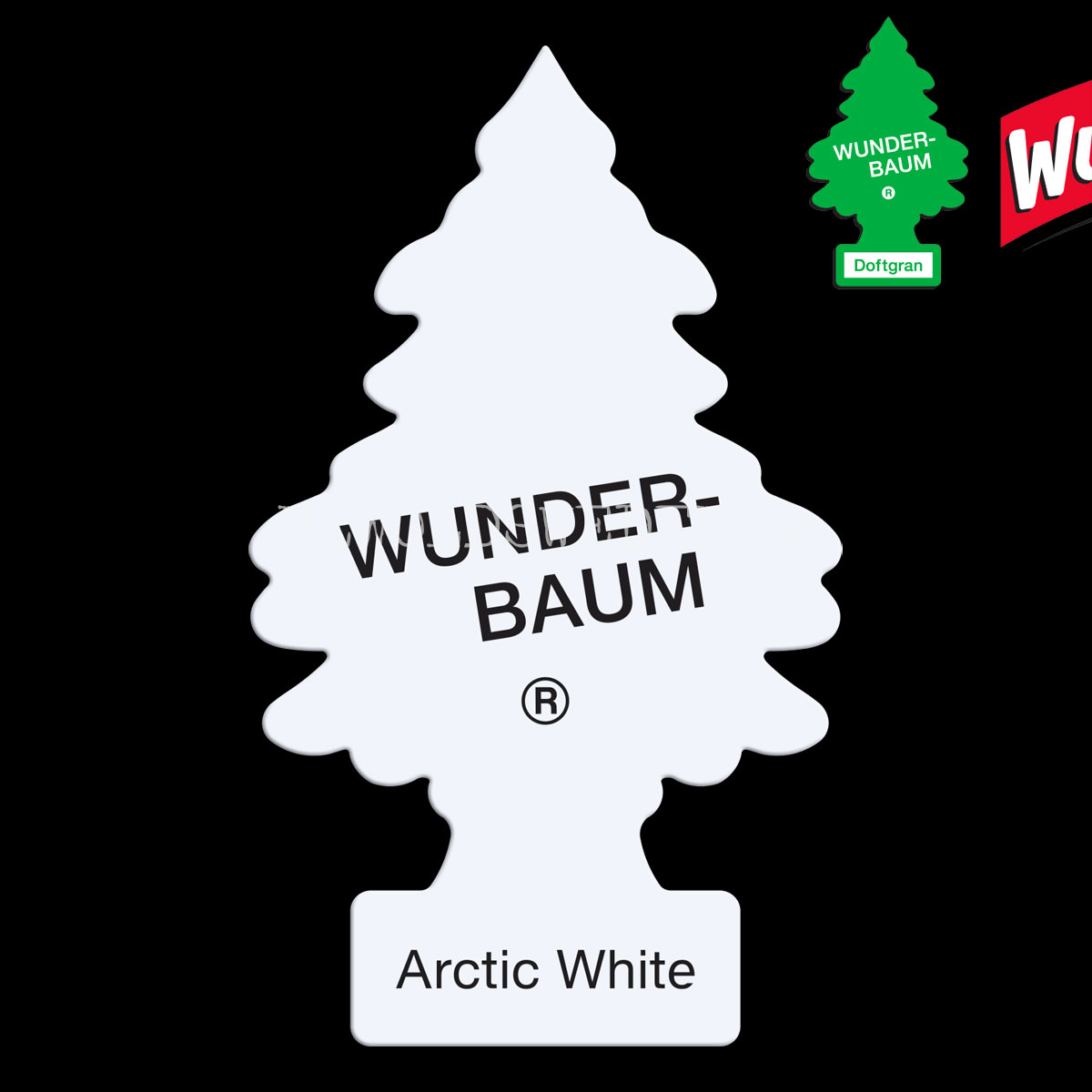 ARTIC WHITE Doftgran Wunder-Baum - 2