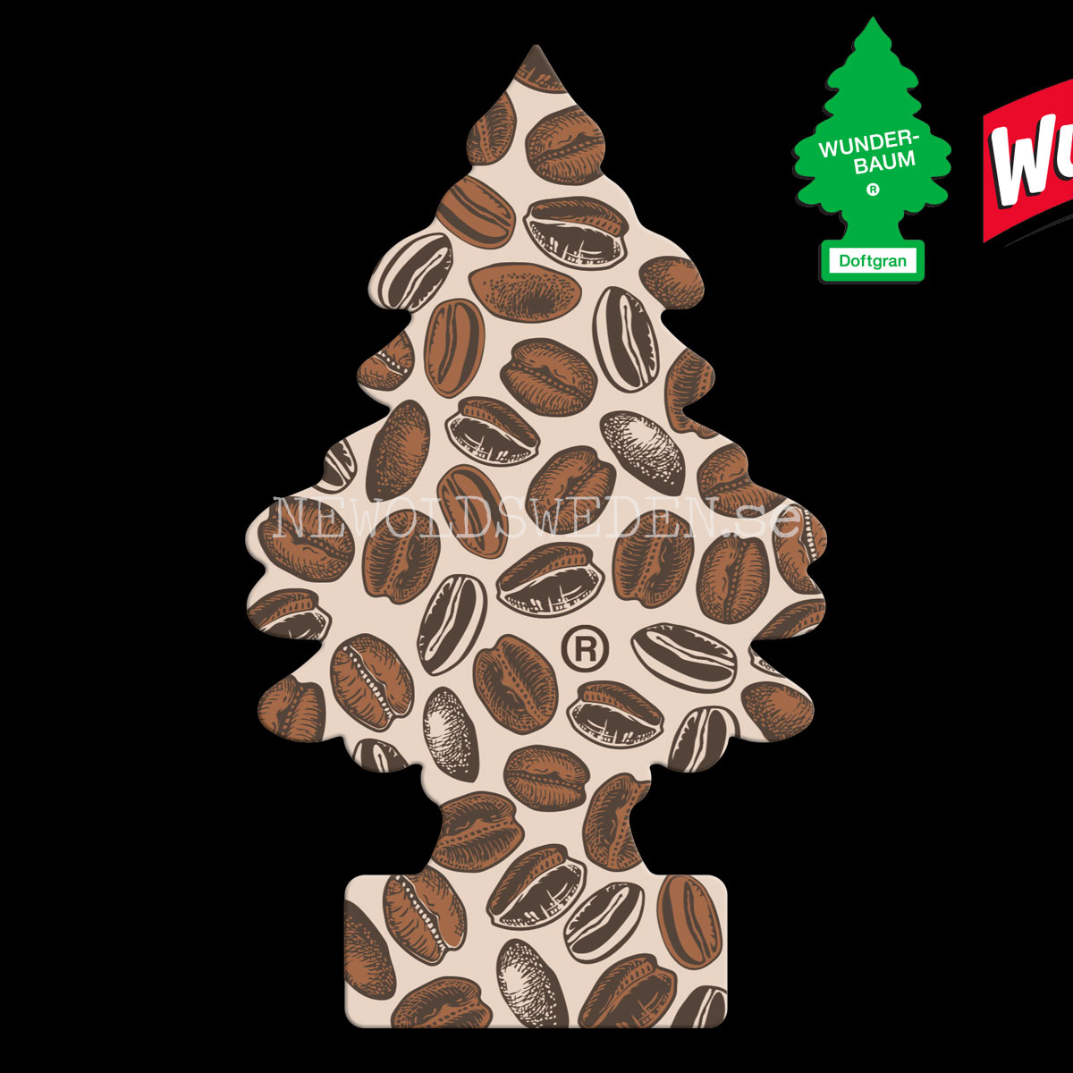 CAFÉ Doftgran Wunder-Baum - 2