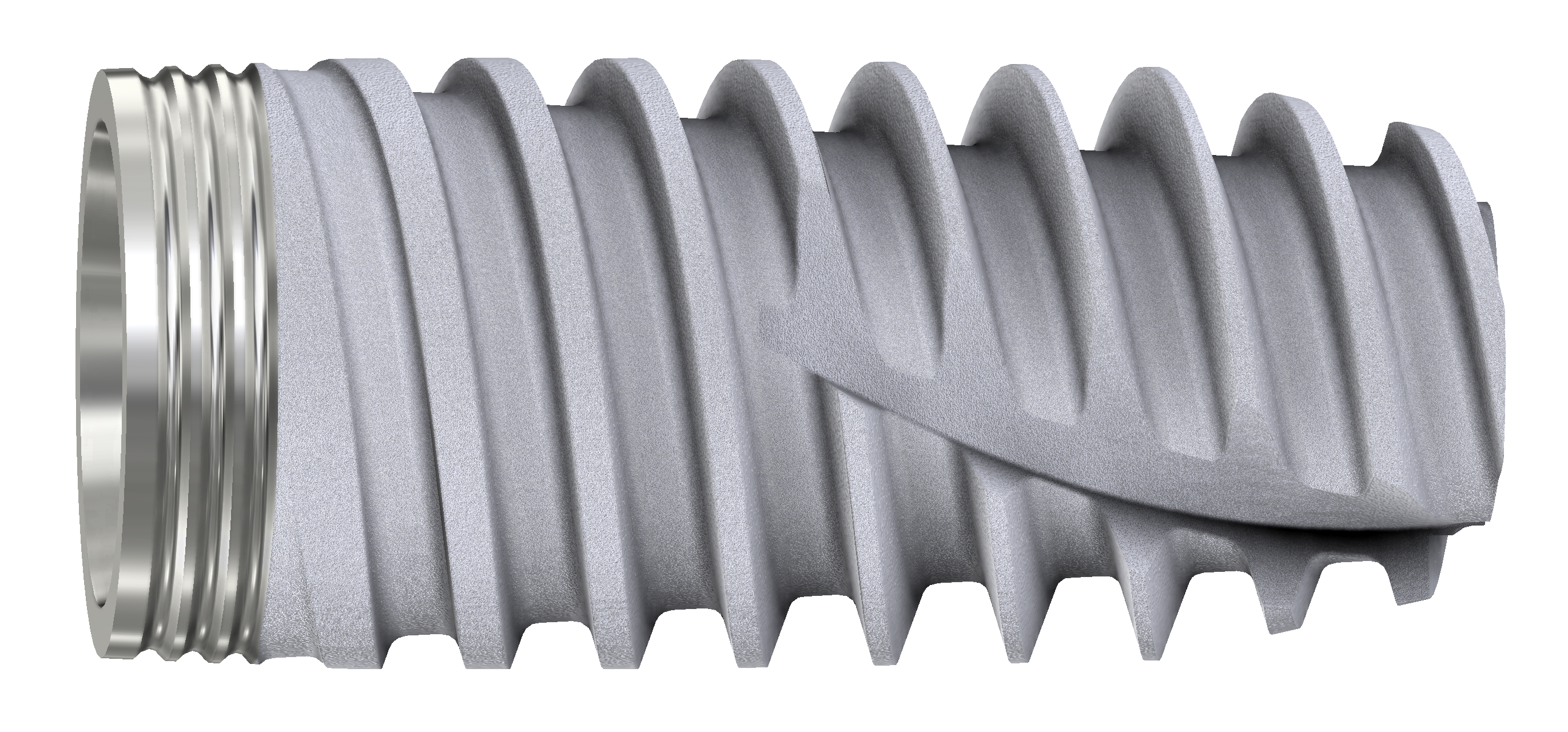 DESS Active Hex WP 5.5 x 13 mm