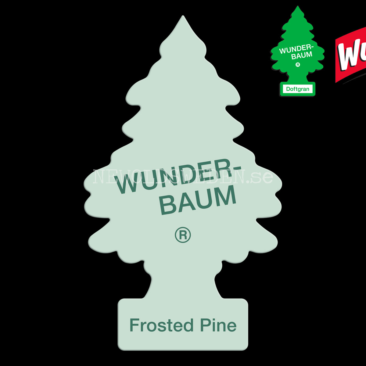 FROSTED PINE Doftgran  Wunder-Baum - 2
