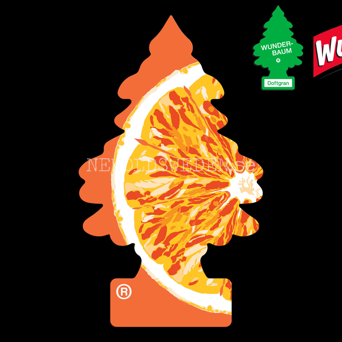 ORANGE JUICE Doftgran  Wunder-Baum - 2